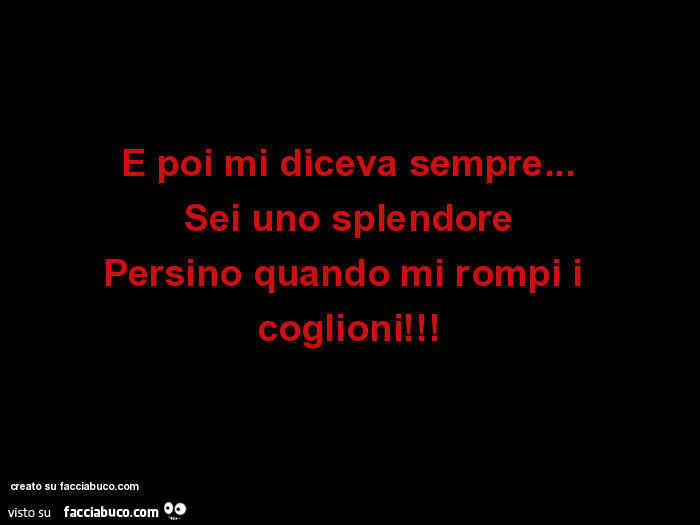 E poi mi diceva sempre… sei uno splendore persino quando mi rompi i coglioni