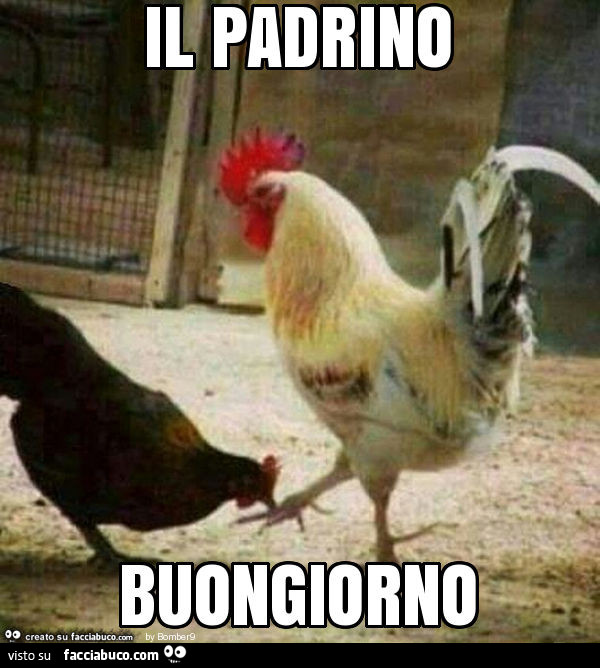 Il padrino buongiorno