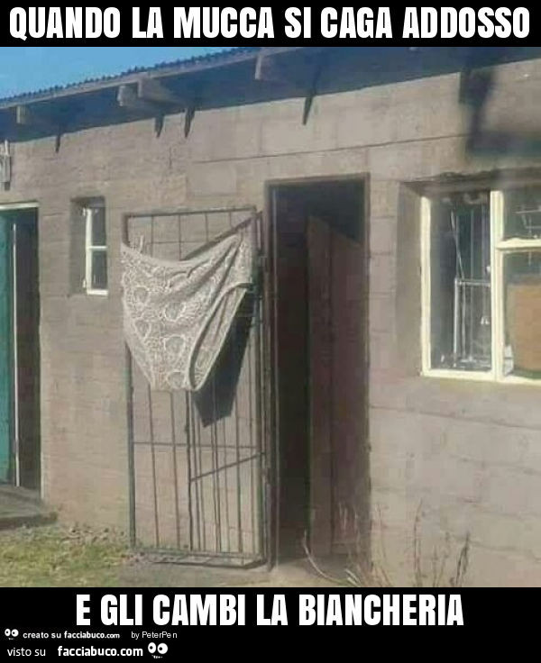 Quando la mucca si caga addosso e gli cambi la biancheria