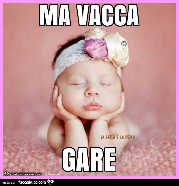 Vaccata