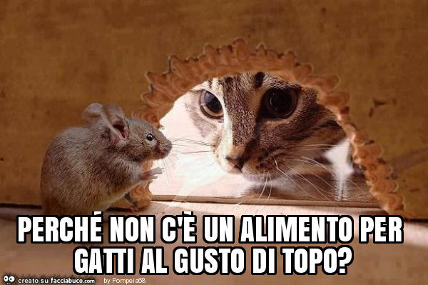 Perché non c'è un alimento per gatti al gusto di topo?