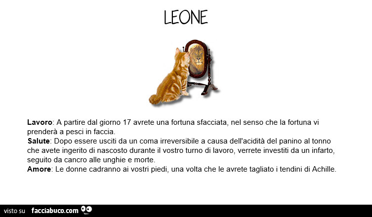 Tutti i meme sul segno zodiacale leone facciabuco.com Segno zodiacale 25 novembre
