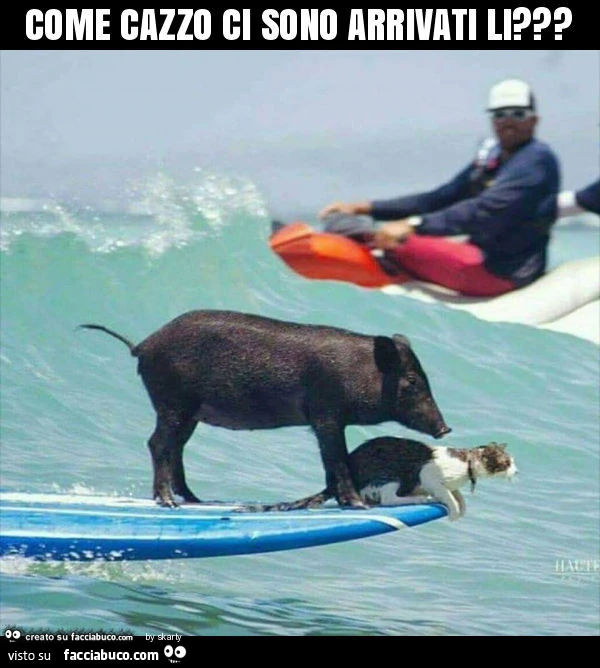 Come cazzo ci sono arrivati li?