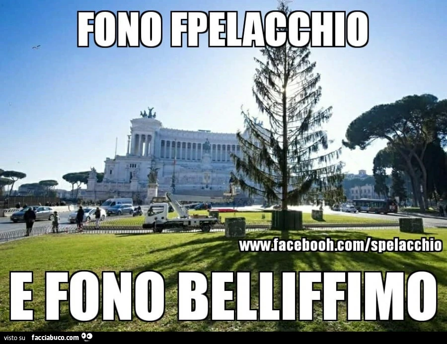 Fono fpelacchio e fono belliffimo