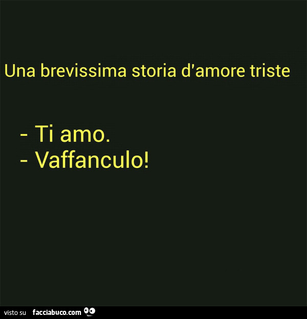 Una brevissima storia d'amore triste. Ti amo. Vaffanculo