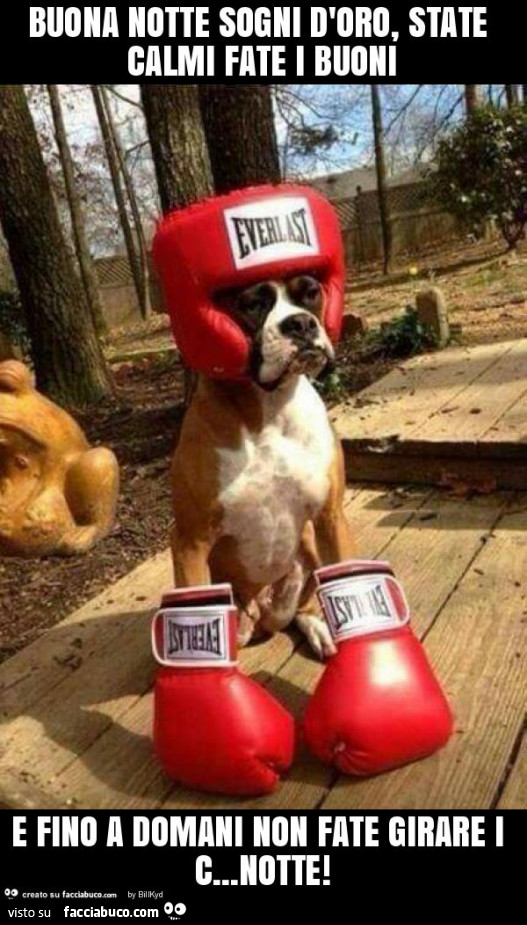 Buona notte sogni d'oro, state calmi fate i buoni e fino a domani non fate girare i c&hellip; notte