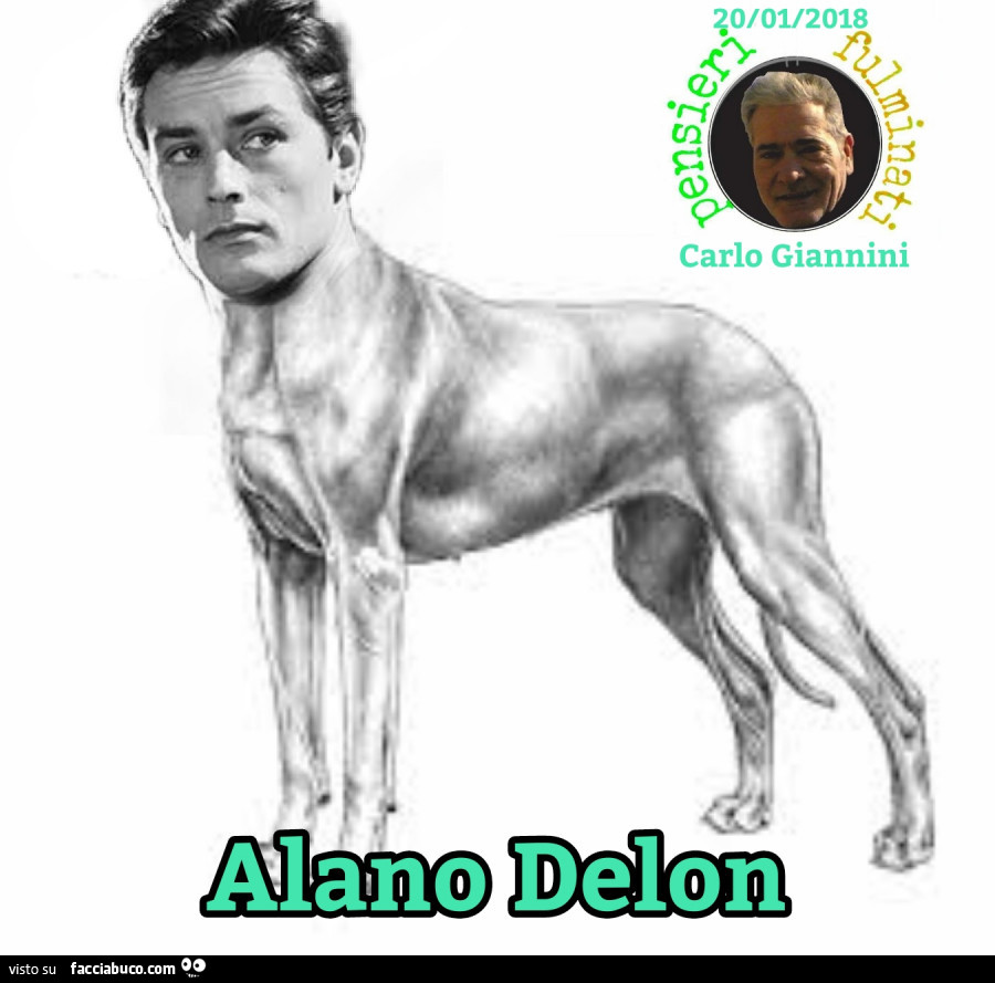 Alano Delon