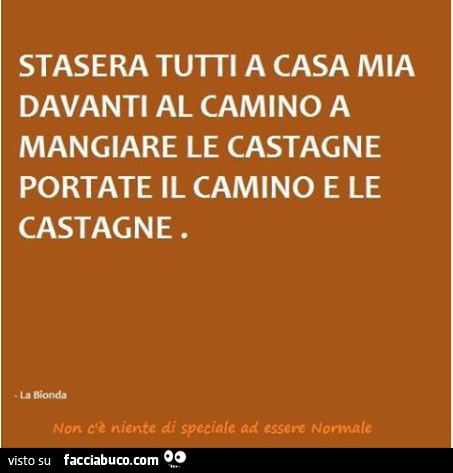 Stasera tutti a casa mia davanti al camino a mangiare le castagne portate il camino e le castagne