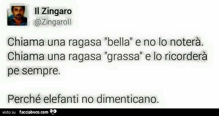 Il Zingaro: chiama una ragasa bella e no lo noterà. Chiama una ragasa grassa e lo ricorderà pe sempre. Perchè elefanti no dimenticano