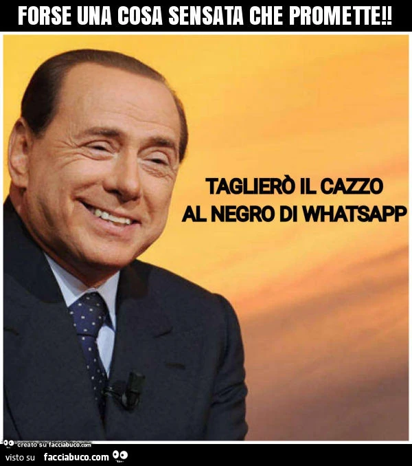 Forse una cosa sensata che promette