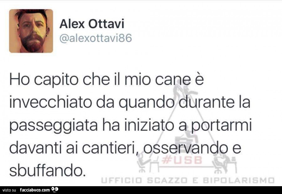 Ho capito che il mio cane è invecchiato da quando durante la passeggiata ha iniziato a portarmi davanti ai cantieri, osservando e sbuffando