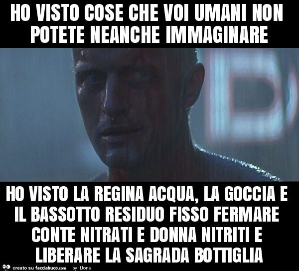 Ho visto cose che voi umani non potete neanche immaginare ho visto la regina acqua, la goccia e il bassotto residuo fisso fermare conte nitrati e donna nitriti e liberare la sagrada bottiglia