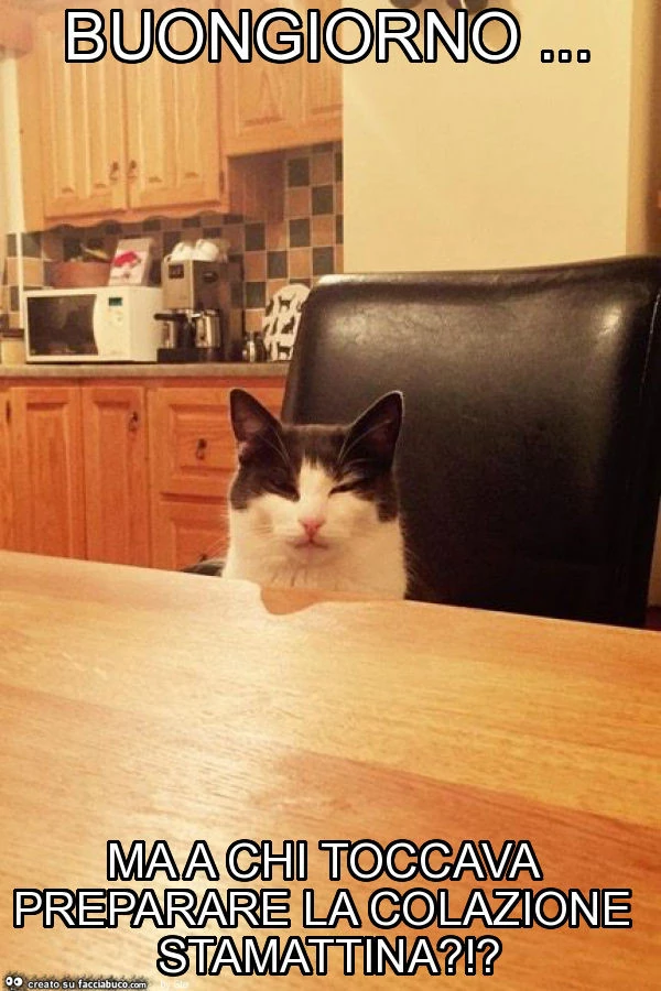 Buongiorno&hellip; ma a chi toccava preparare la colazione stamattina?!?