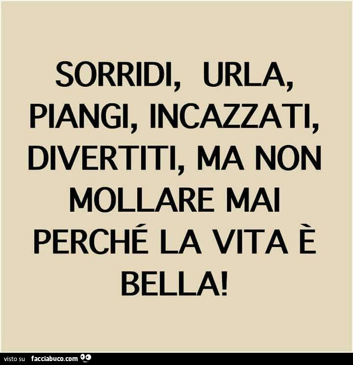 Sorridi Urla Piangi Incazzati Divertiti Ma Non Mollare Mai Perche La Vita E Bella Facciabuco Com