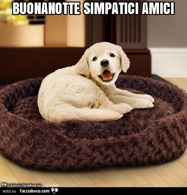 Buonanotte simpatici amici