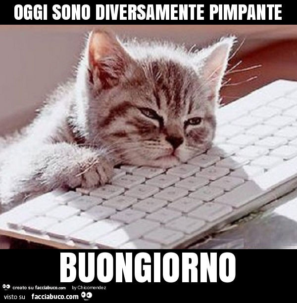 Oggi sono diversamente pimpante. Buongiorno