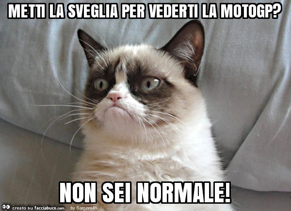 Metti la sveglia per vederti la motogp? Non sei normale