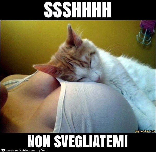 Ssshhhh non svegliatemi