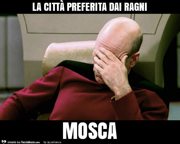 La città preferita dai ragni mosca