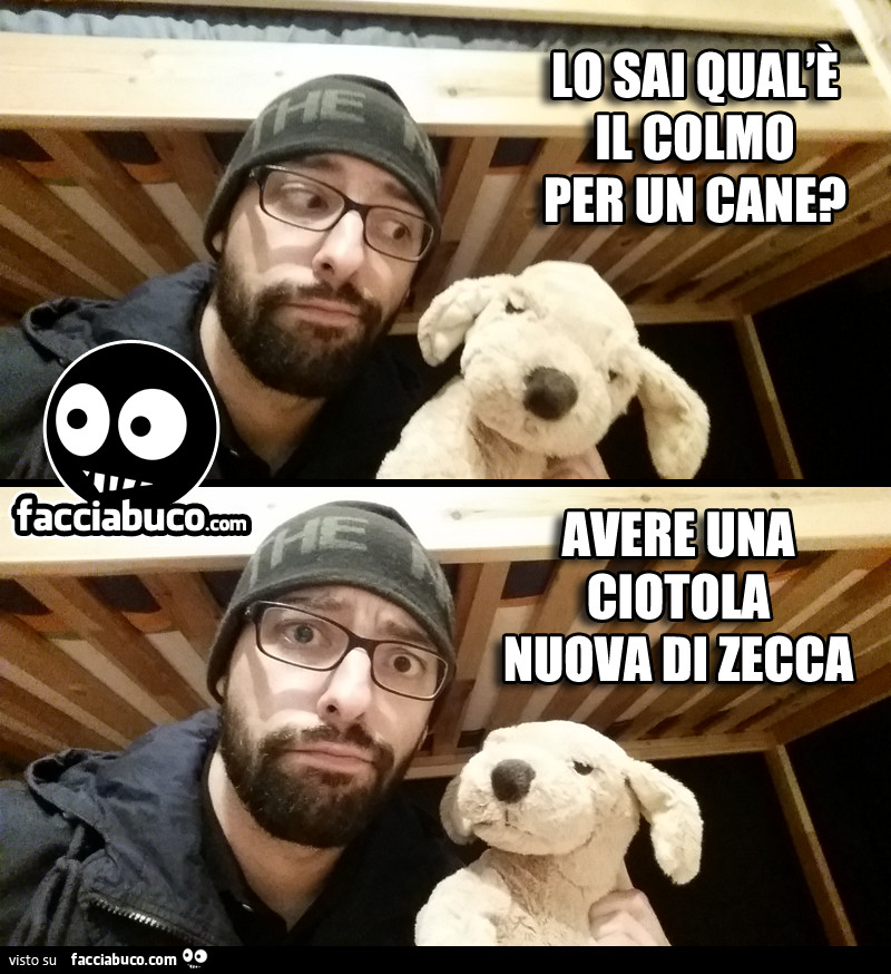 Lo sai qual'è il colmo per un cane? Avere una ciotola nuova di zecca