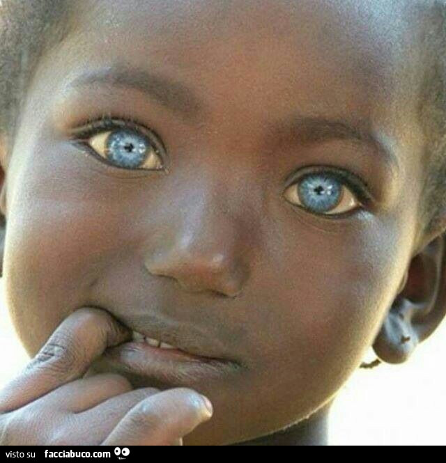 Bimbo di colore con gli occhi azzurri