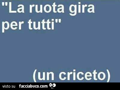 La ruota gira per tutti. Un criceto