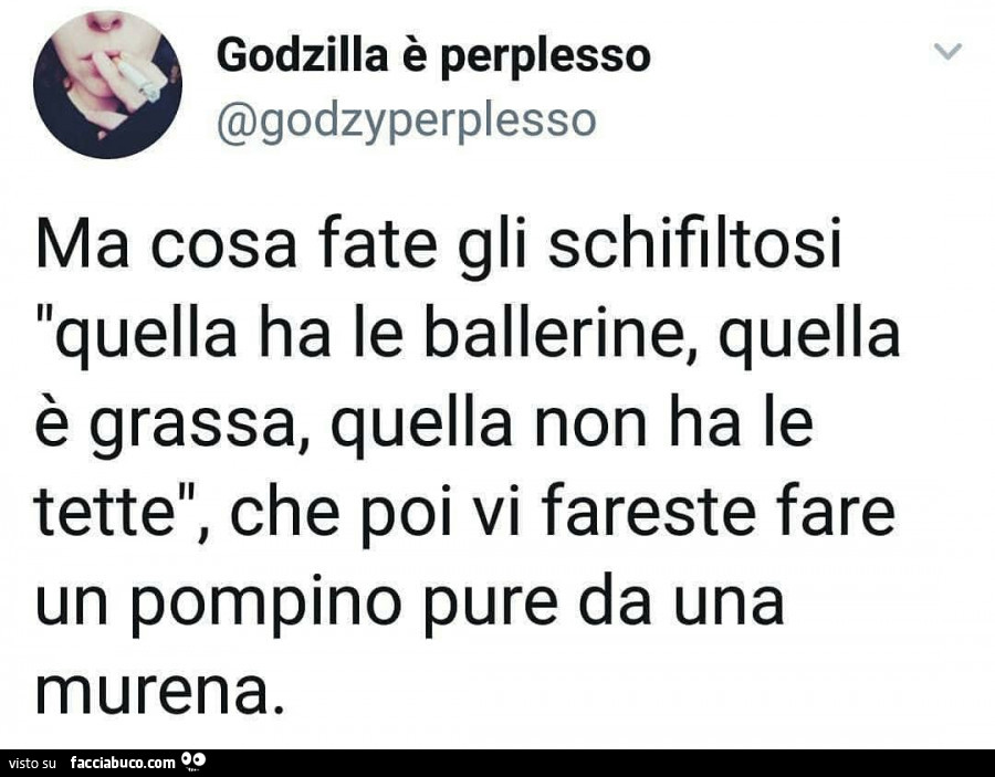 Ma cosa fate gli schifiltosi, quella ha le ballerine, quella è grassa, quella non ha le tette, che poi vi fareste fare un pompino pure da una murena