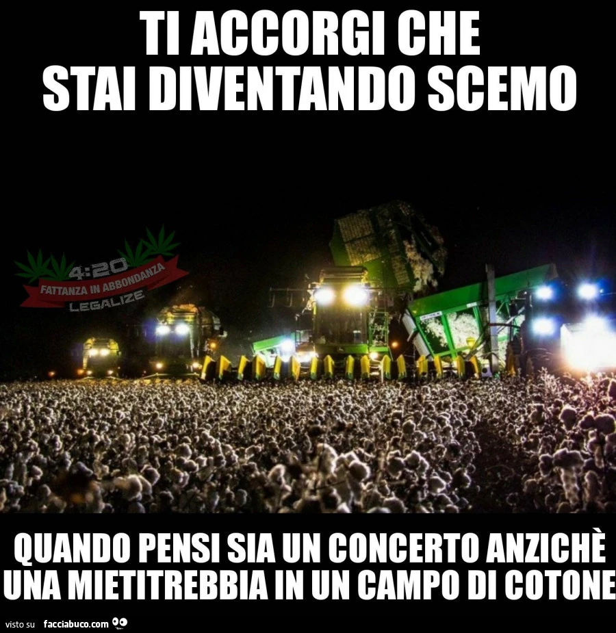 Ti accorgi che stai diventando scemo quando pensi sia un concerto anziché una mietitrebbia in un campo di cotone