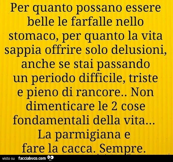Per quanto possano essere belle le farfalle nello stomaco, per quanto la vita sappia offrire solo delusioni, anche se stai passando un periodo difficile, triste e pieno di rancore. Non dimenticare le 2 cose fondamentali della vita&hellip; la parmigiana e 