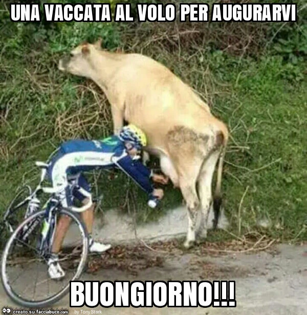 Una vaccata al volo per augurarvi buongiorno
