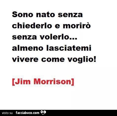 Sono nato senza chiederlo e morirò senza volerlo… almeno lasciatemi vivere come voglio! Jim Morrison