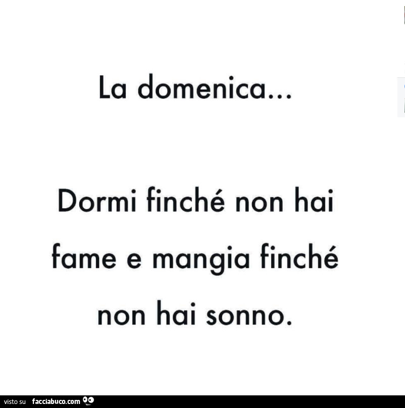 La domenica… dormi finché non hai fame e mangia finché non hai sonno