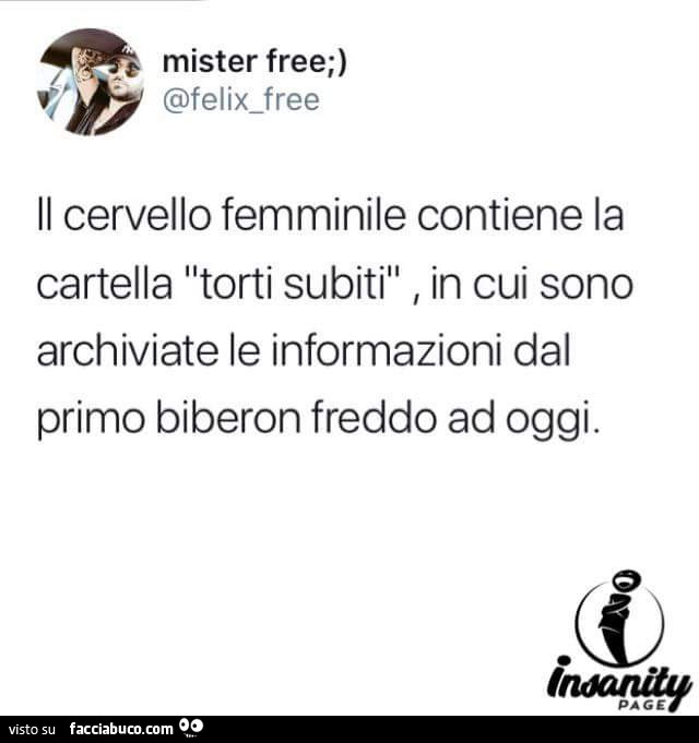 Il cervello femminile contiene la cartella torti subiti, in cui sono archiviate le informazioni dal primo biberon freddo ad oggi