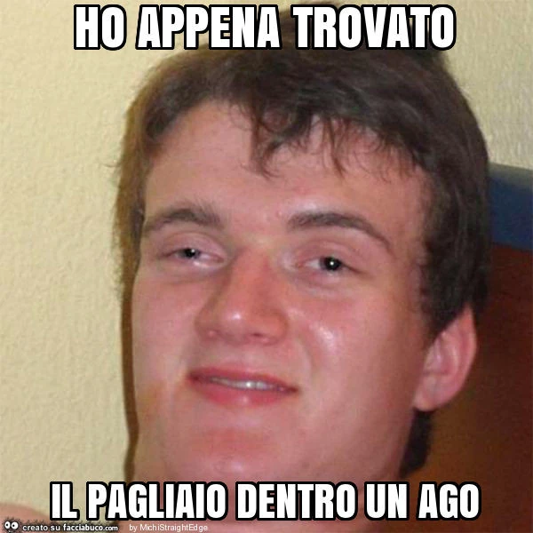 Ho appena trovato il pagliaio dentro un ago