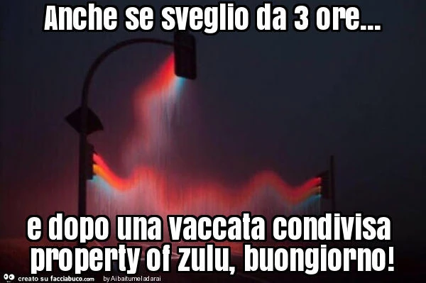Anche se sveglio da 3 ore&hellip; e dopo una vaccata condivisa property of zulu, buongiorno