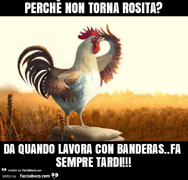 Perchè non torna rosita? Da quando lavora con banderas. Fa sempre tardi