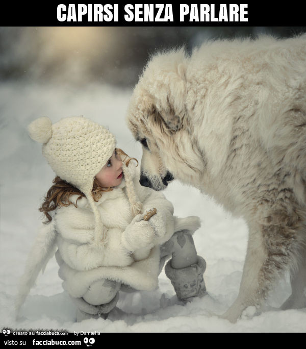 Capirsi senza parlare