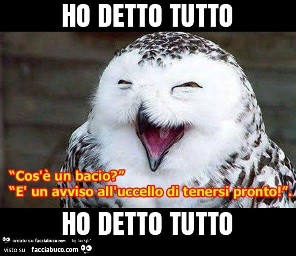 Ho detto tutto ho detto tutto