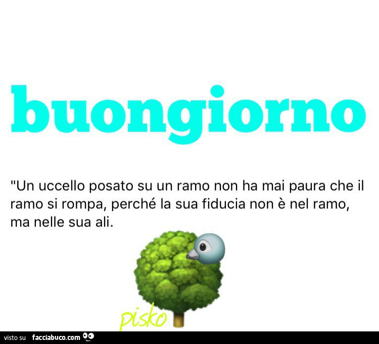 Buongiorno. Un uccello posato su un ramo non ha mai paura che il ramo si rompa, perché la sua fiducia non è nel ramo, ma nelle sua ali