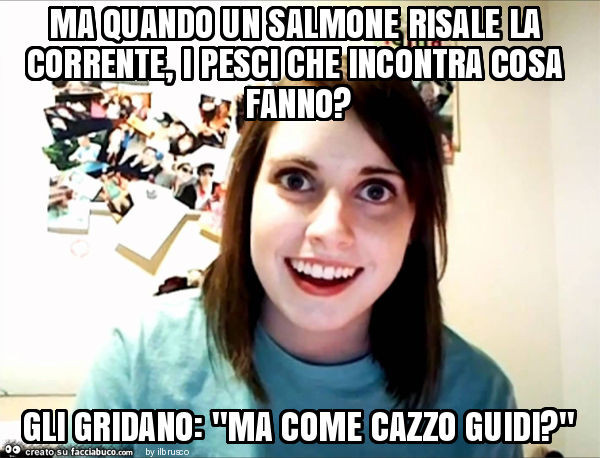 Ma quando un salmone risale la corrente, i pesci che incontra cosa fanno? Gli gridano: "ma come cazzo guidi? "