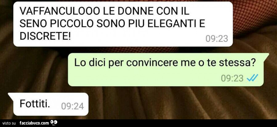 Vaffanculooo le donne con il seno piccolo sono più eleganti e discrete! Lo dici per convincere me o te stessa?