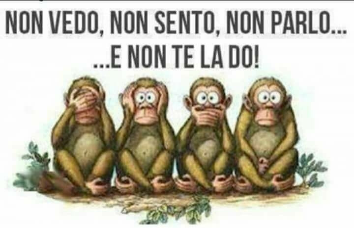 Le scimmiette sono 4! Sapevatelo...… vaccata pubblicata da dollina ...
