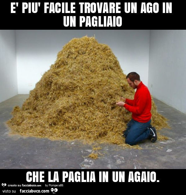 È più facile trovare un ago in un pagliaio che la paglia in un agaio