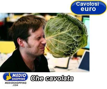 Vaccata