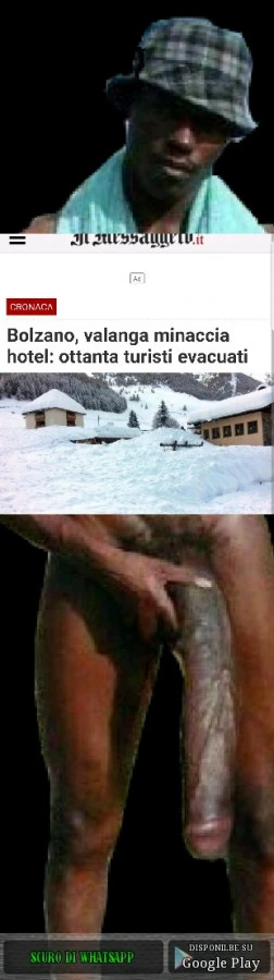 Vaccata