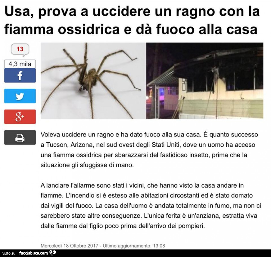 Usa, prova a uccidere un ragno con la fiamma ossidrica e dà fuoco alla casa