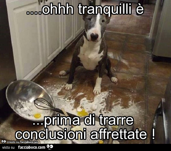Ohhh tranquilli è… prima di trarre conclusioni affrettate