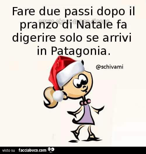 Fare due passi dopo il pranzo di natale fa digerire solo se arrivi in Patagonia