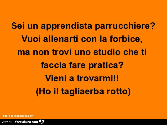 Sei un apprendista parrucchiere? Vuoi allenarti con la forbice, ma non trovi uno studio che ti faccia fare pratica? Vieni a trovarmi! (Ho il tagliaerba rotto)