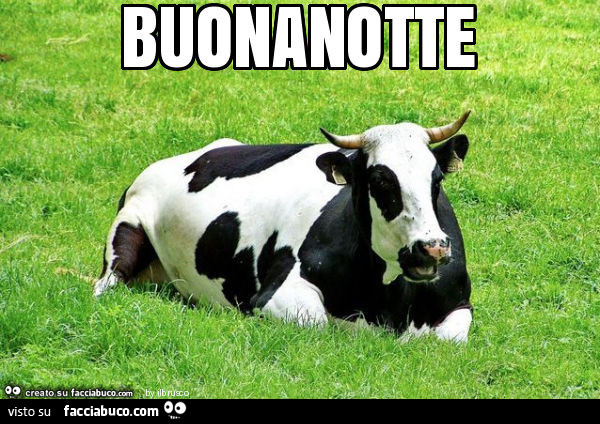 Buonanotte